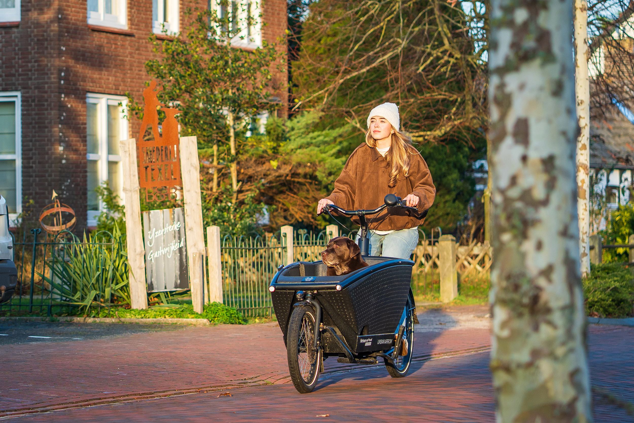 Urban Arrow Hondenbakfiets - Zijaanzicht bij BikeDeals
